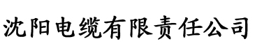 夜趣影视电缆厂logo